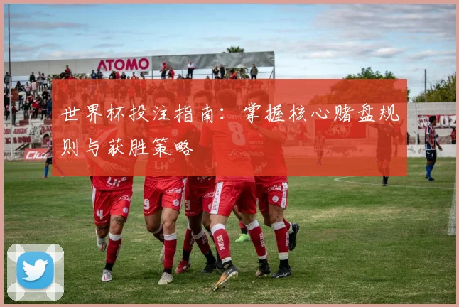 世界杯投注指南：掌握核心赌盘规则与获胜策略